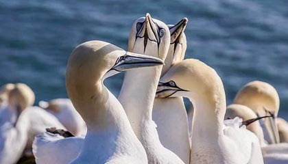 今年黑料万里长征首页吃瓜爆料太真实的点不在内容而在搜索结果