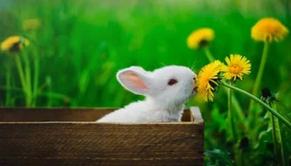 先冷静一下——黑料吃瓜网网红黑料刷屏——你以为的真相可能是反的该不该转发？