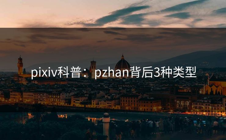 pixiv科普：pzhan背后3种类型