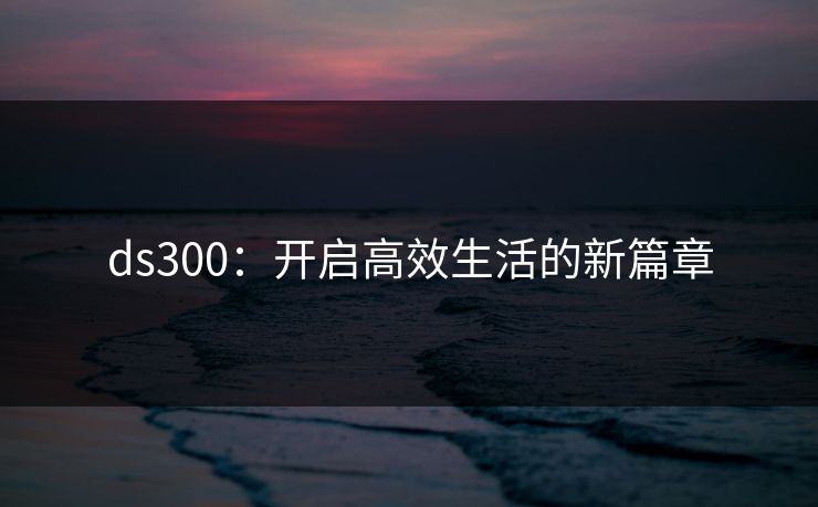 ds300：开启高效生活的新篇章