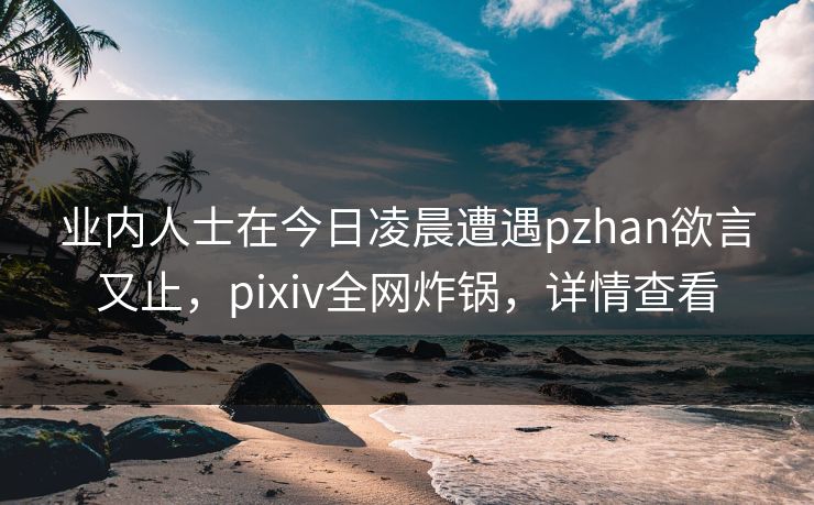 业内人士在今日凌晨遭遇pzhan欲言又止,pixiv全网炸锅,详情查看 业内人士在今日凌晨遭遇pzhan欲言又止,pixiv全网炸锅,详情查看
