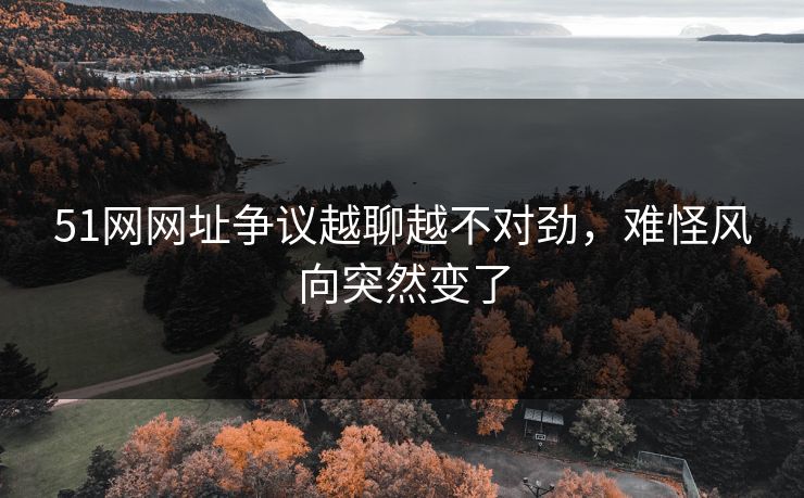 51网网址争议越聊越不对劲,难怪风向突然变了